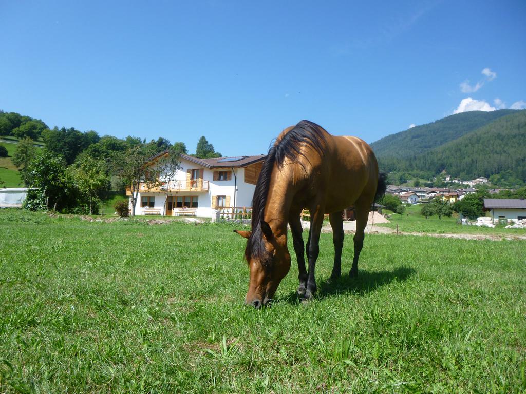 Agriturismo Fattoria Dalcastagne Torcegno Eksteriør billede