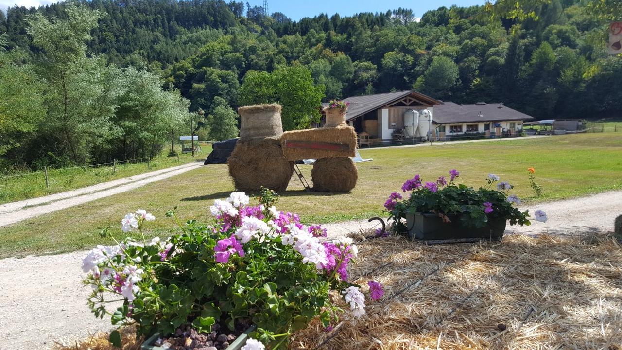 Agriturismo Fattoria Dalcastagne Torcegno Eksteriør billede