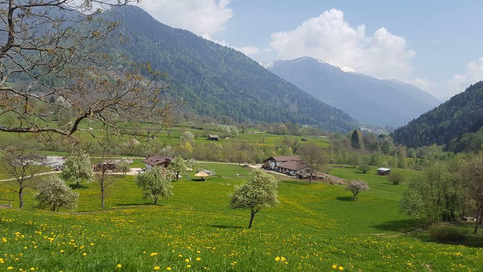Agriturismo Fattoria Dalcastagne Torcegno Eksteriør billede